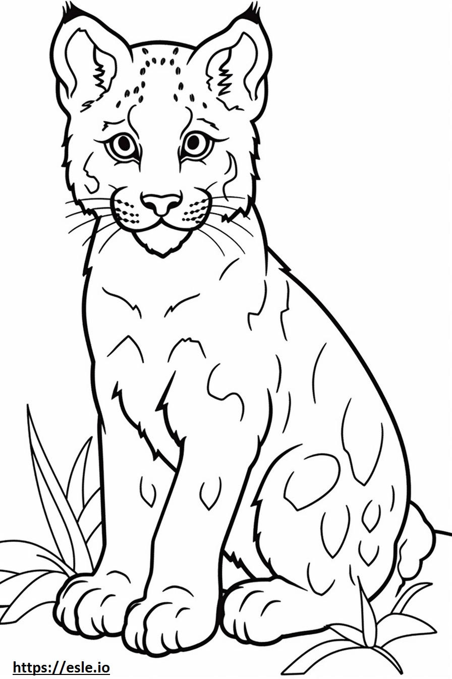 Coloriage Bébé lynx roux à imprimer