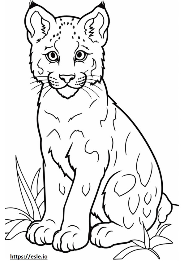 Coloriage Bébé lynx roux à imprimer