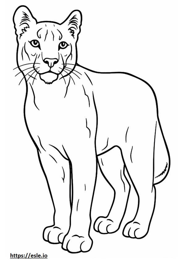 Bobcat cartoon coloring page