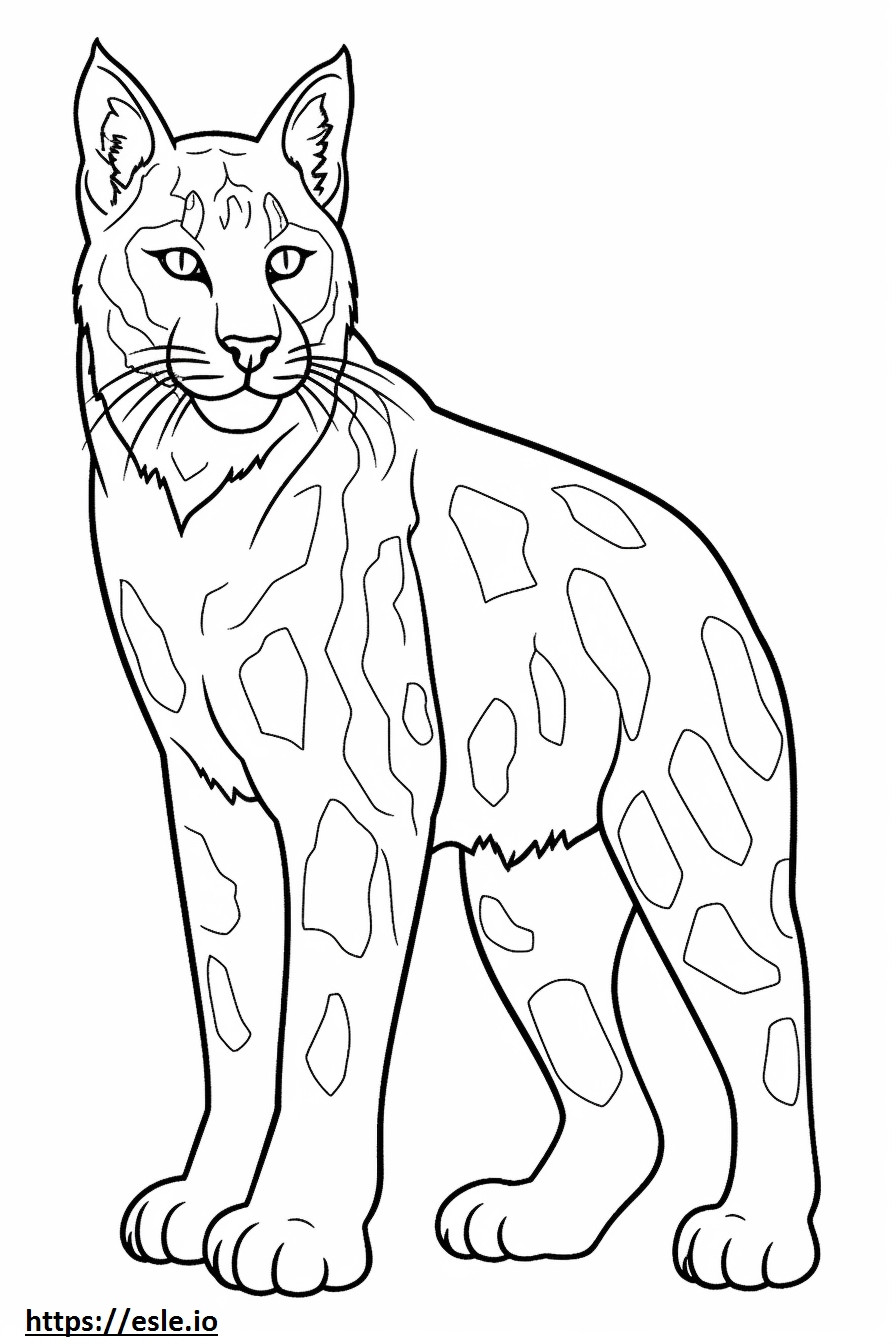 Coloriage Lynx roux mignon à imprimer