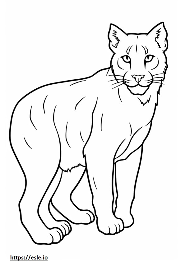 Coloriage Lynx roux mignon à imprimer