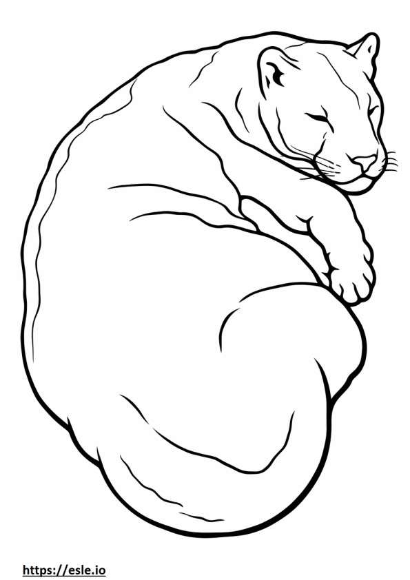 Bobcat Sleeping coloring page