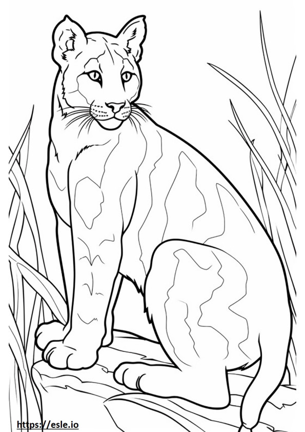 Bobcat Playing coloring page