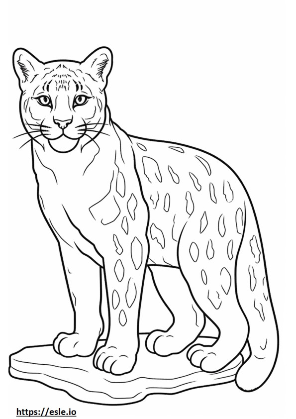 Bobcat Friendly coloring page