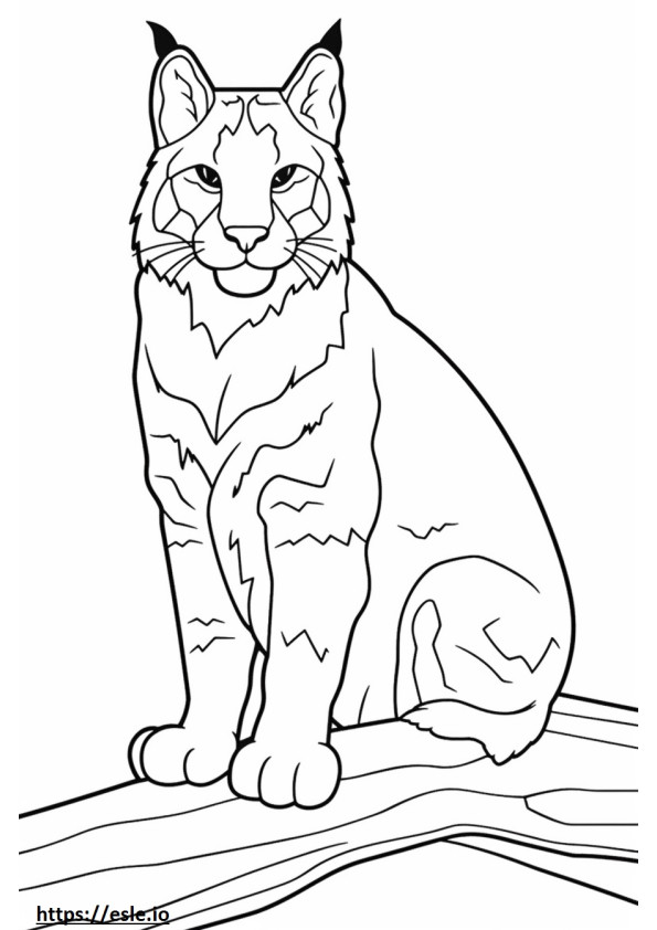 Bobcat Friendly coloring page