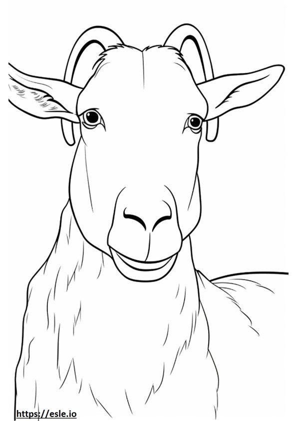 Coloriage Visage de chèvre Boer à imprimer