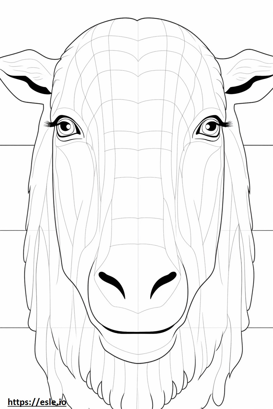 Boer Goat face coloring page
