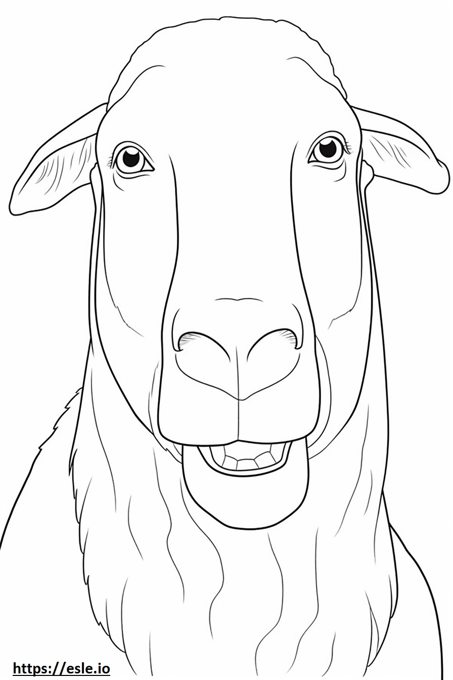 Coloriage Visage de chèvre Boer à imprimer