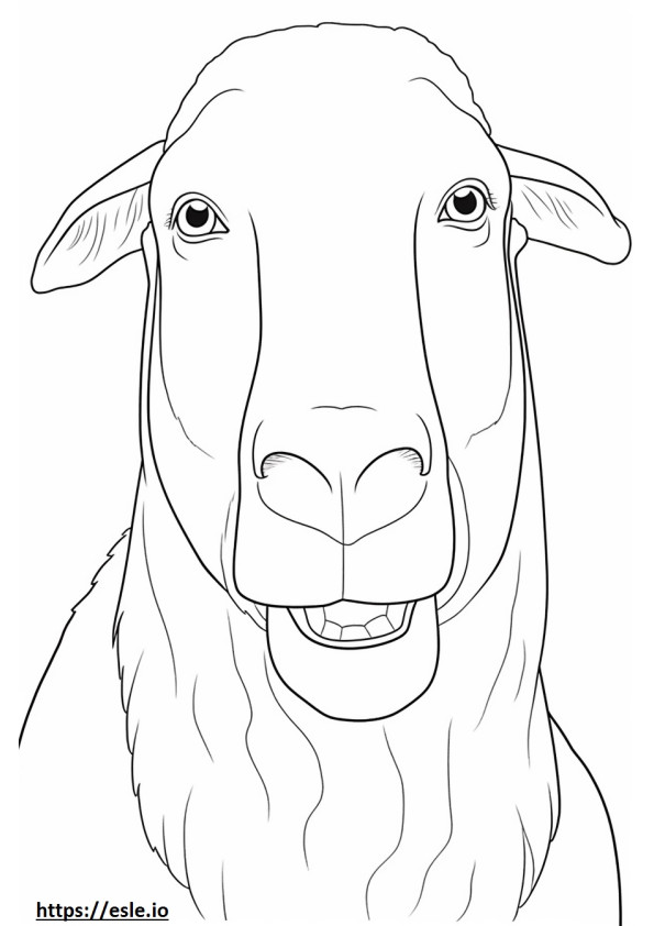 Boer Goat face coloring page