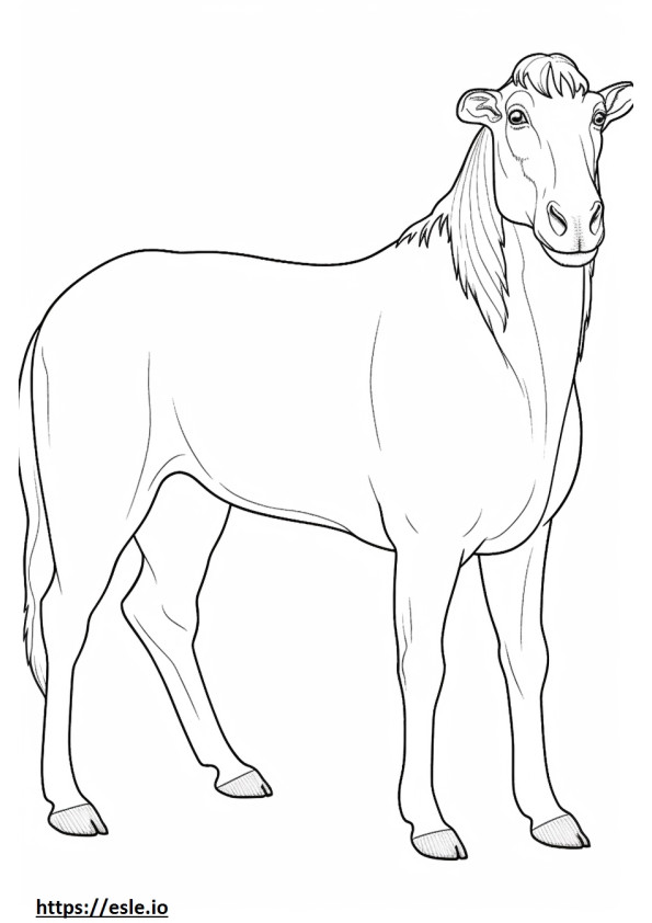 Boer Goat full body coloring page