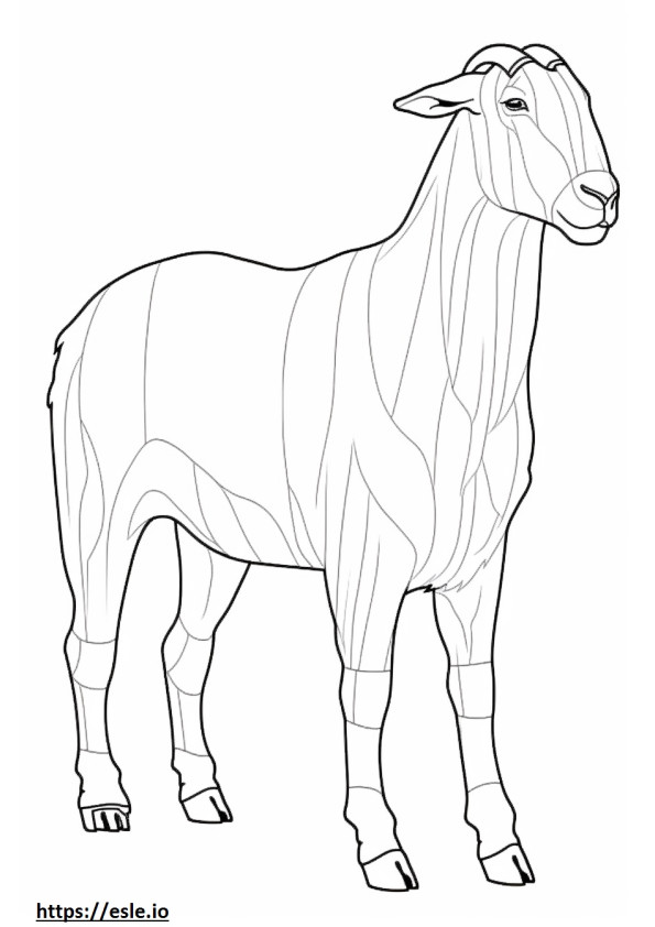 Boer Goat koko vartalo värityskuva
