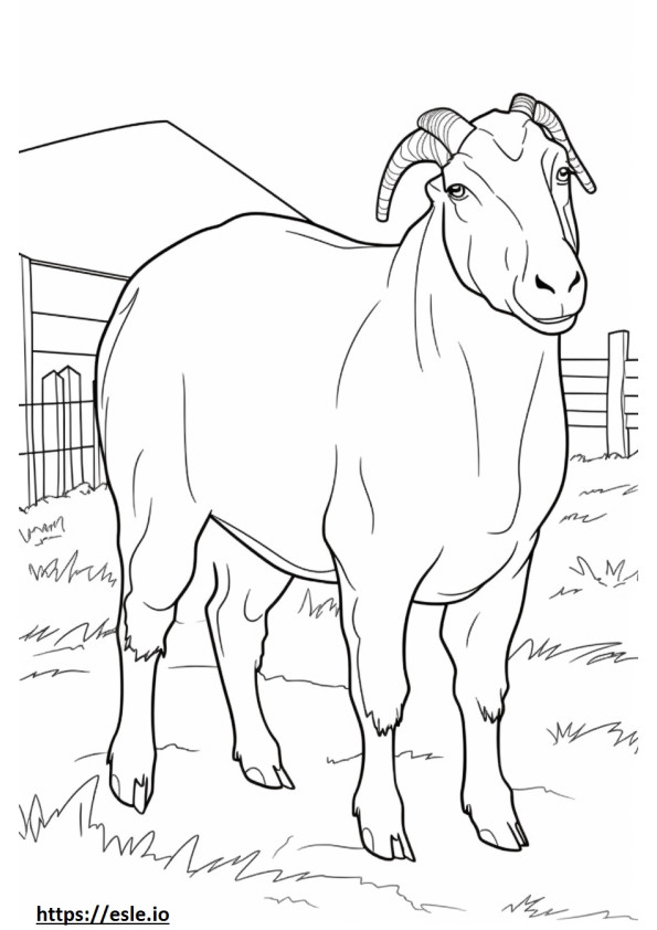 Coloriage Caricature de chèvre Boer à imprimer