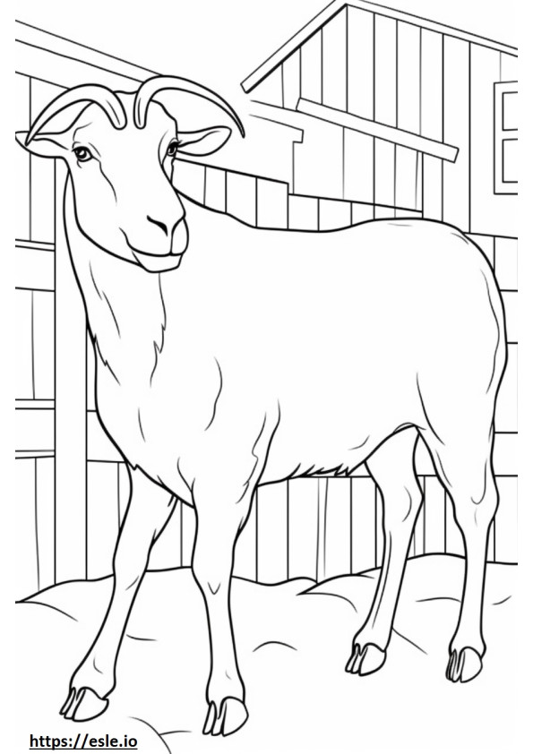 Boer Goat sarjakuva värityskuva