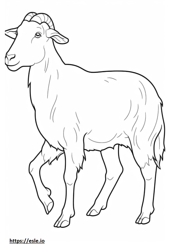 Boer Goat cute coloring page