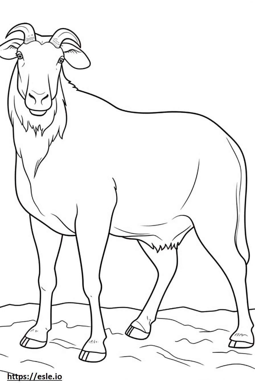 Boer Goat happy coloring page