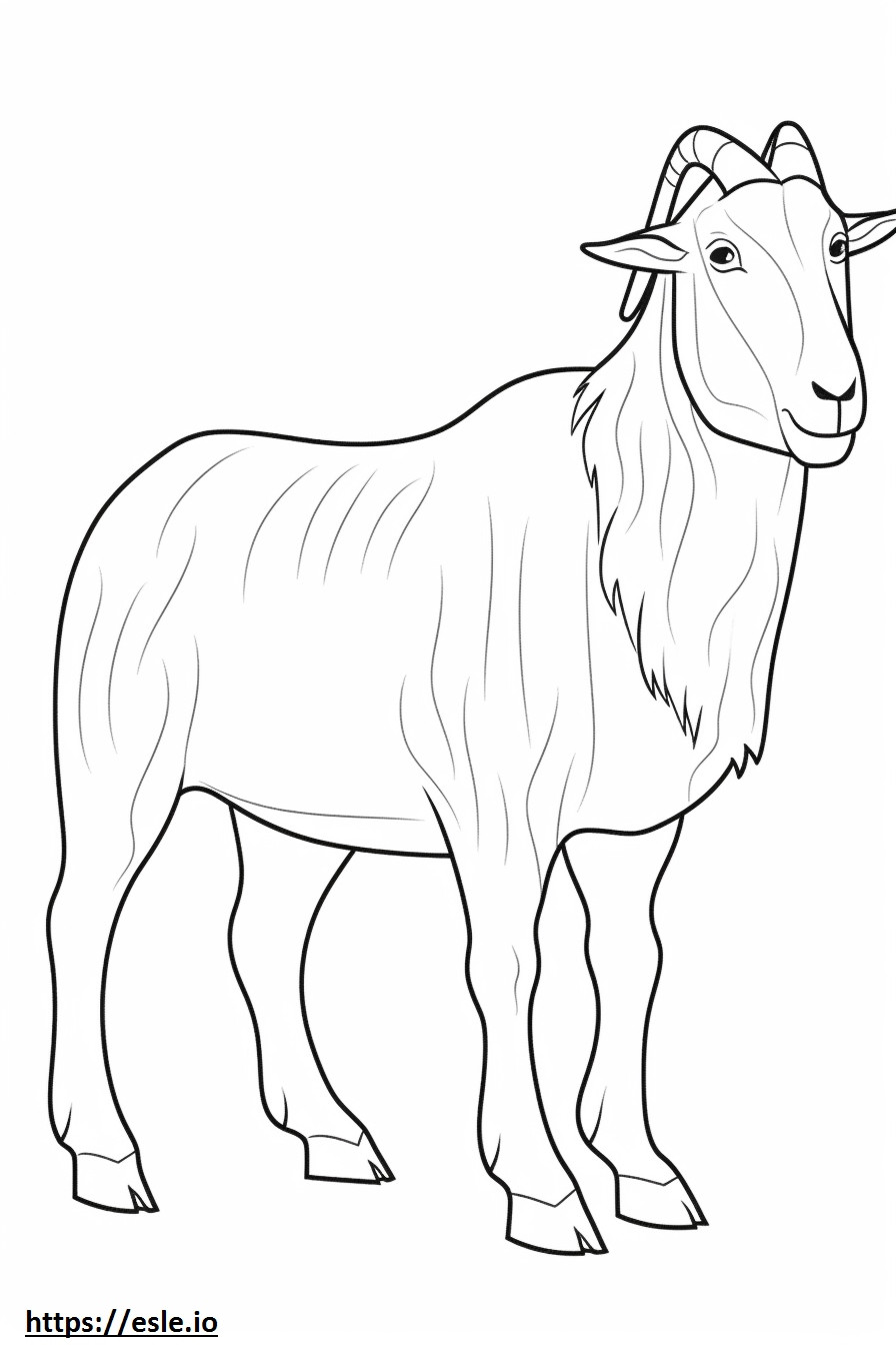 Boer Goat happy coloring page