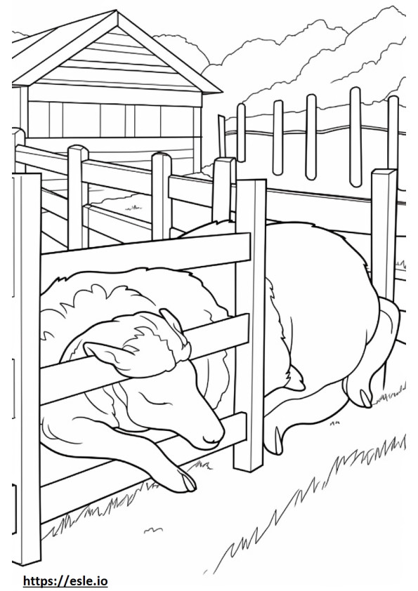 ボーアヤギの睡眠 ぬりえ - 塗り絵