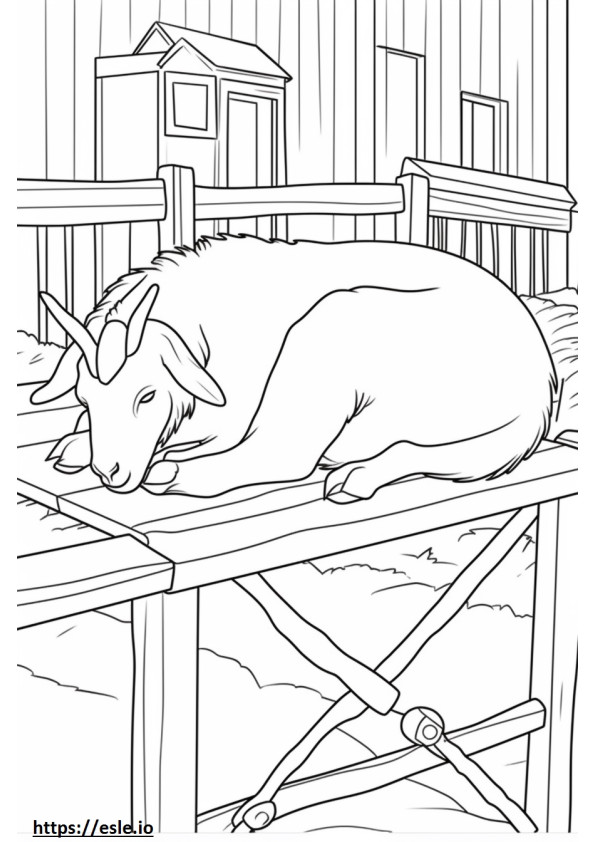 Boer kecske alszik szinező