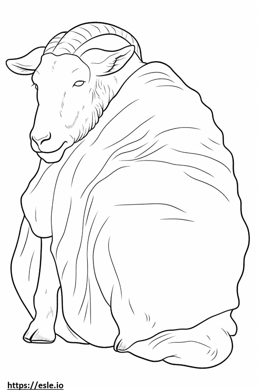 Boer Goat Sleeping coloring page