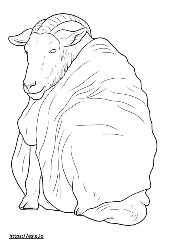 Boer Goat Sleeping coloring page