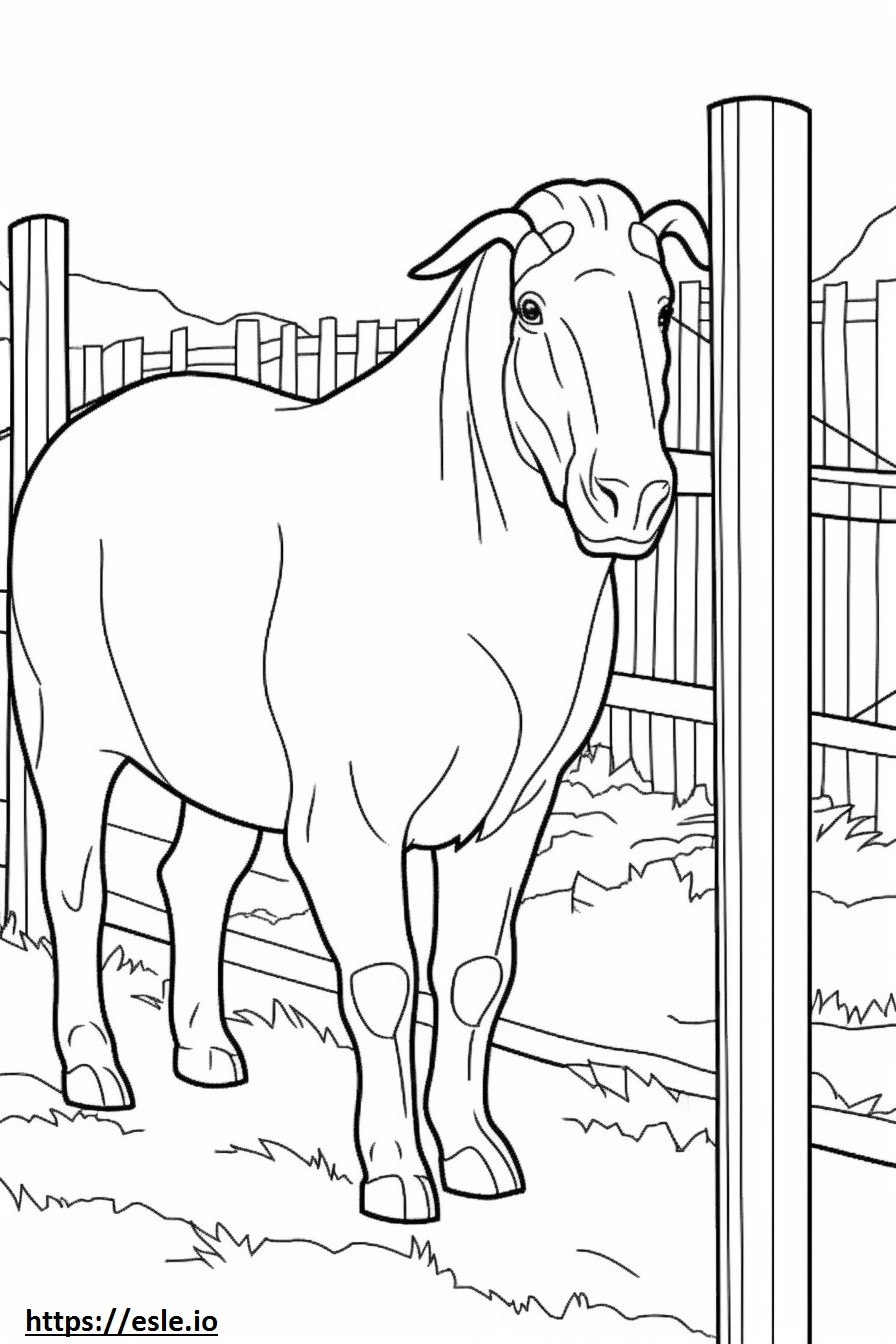 Boer Goat Playing coloring page