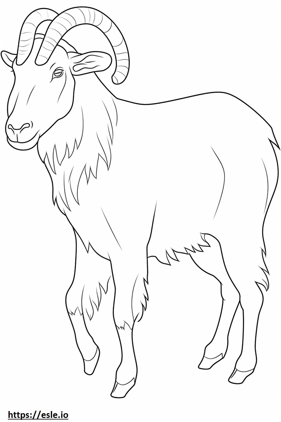 Boer Goat Playing coloring page