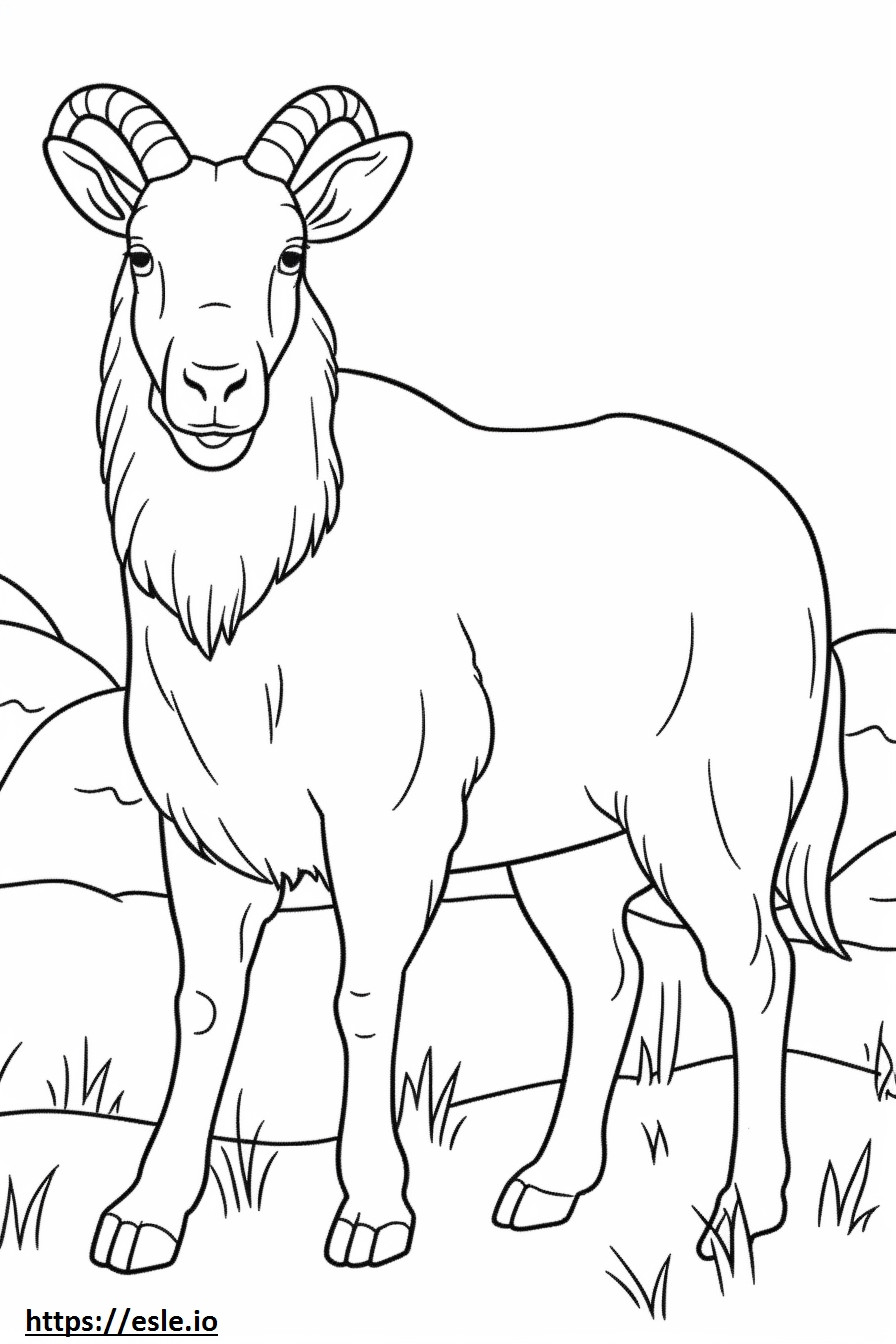 Boer Goat Kawaii värityskuva
