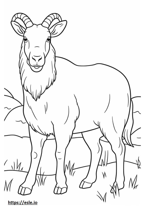 Boer Goat Kawaii värityskuva