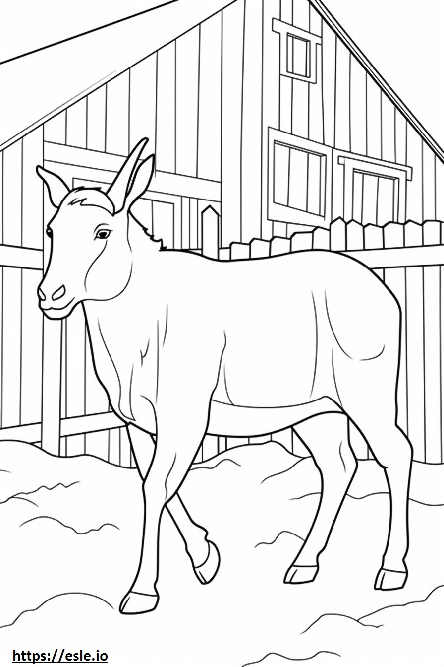 Boer Goat ystävällinen värityskuva