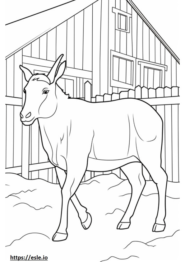 Boer Goat ystävällinen värityskuva