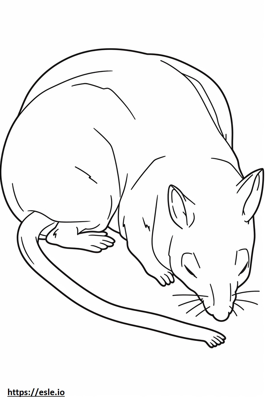 Boggle Sleeping coloring page