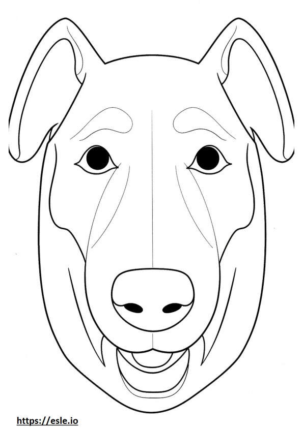 Fața Boglen Terrier de colorat