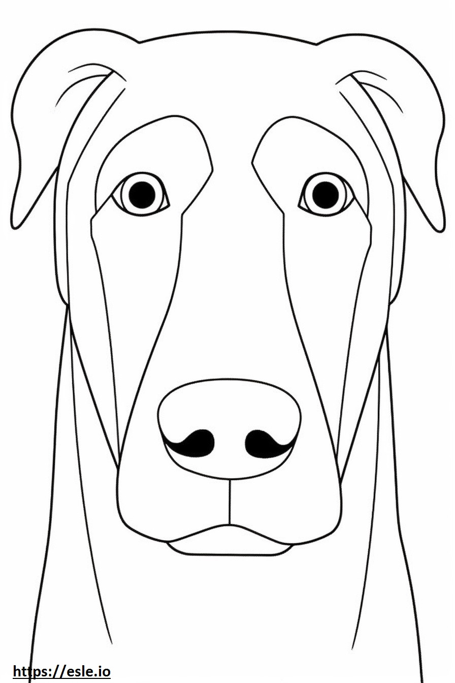 Boglen Terrier face coloring page