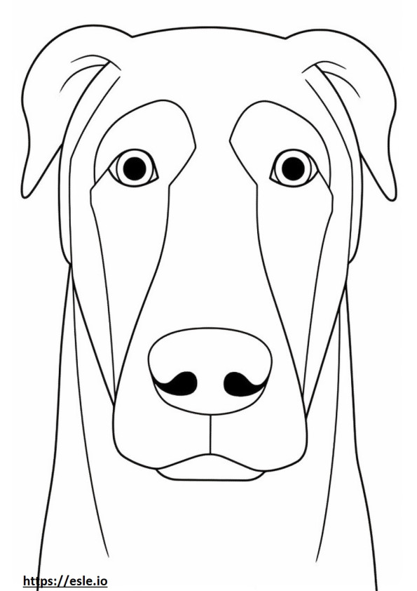Coloriage Visage du Boglen Terrier à imprimer