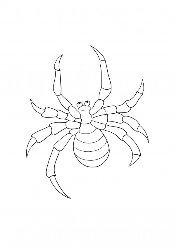 Black widow spider free printable for kids to color