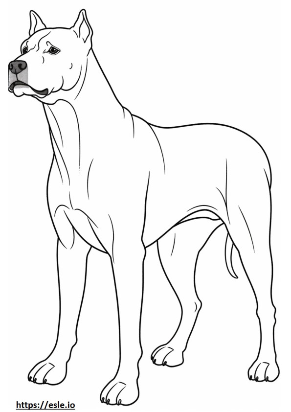 Boglen Terrier full body coloring page