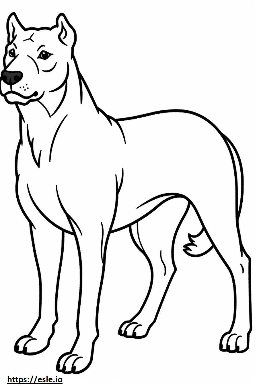 Boglen Terrier de corpo inteiro para colorir