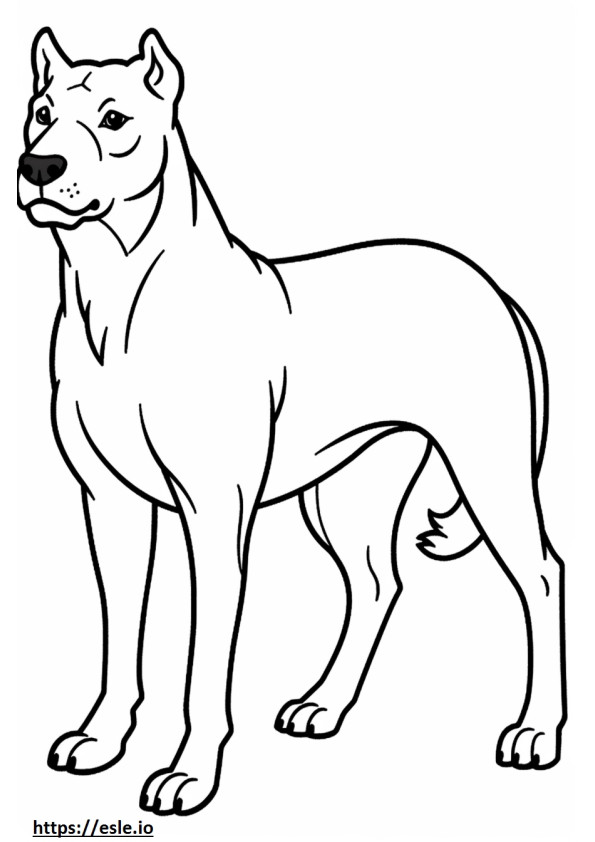 Boglen Terrier de cuerpo completo para colorear e imprimir