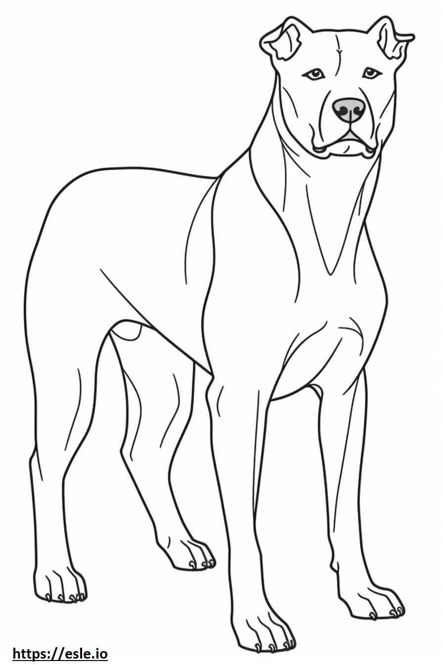 Boglen Terrier de corpo inteiro para colorir