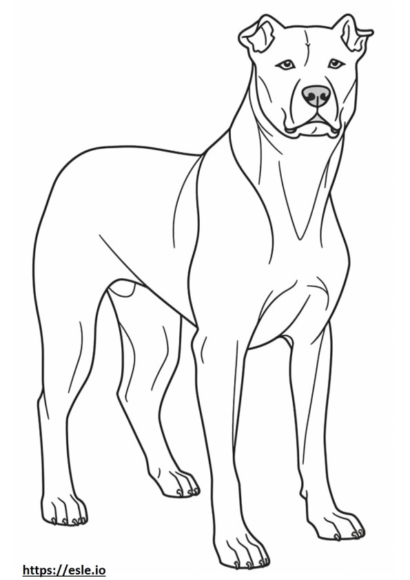Boglen Terrier de cuerpo completo para colorear e imprimir