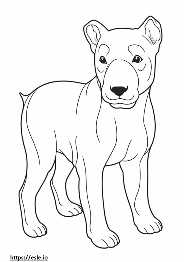 Bebê Boglen Terrier para colorir