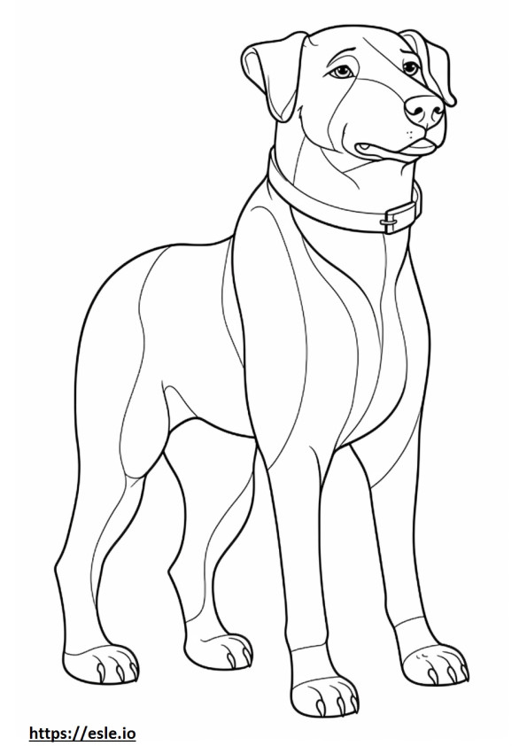 Cucciolo di Boglen Terrier da colorare