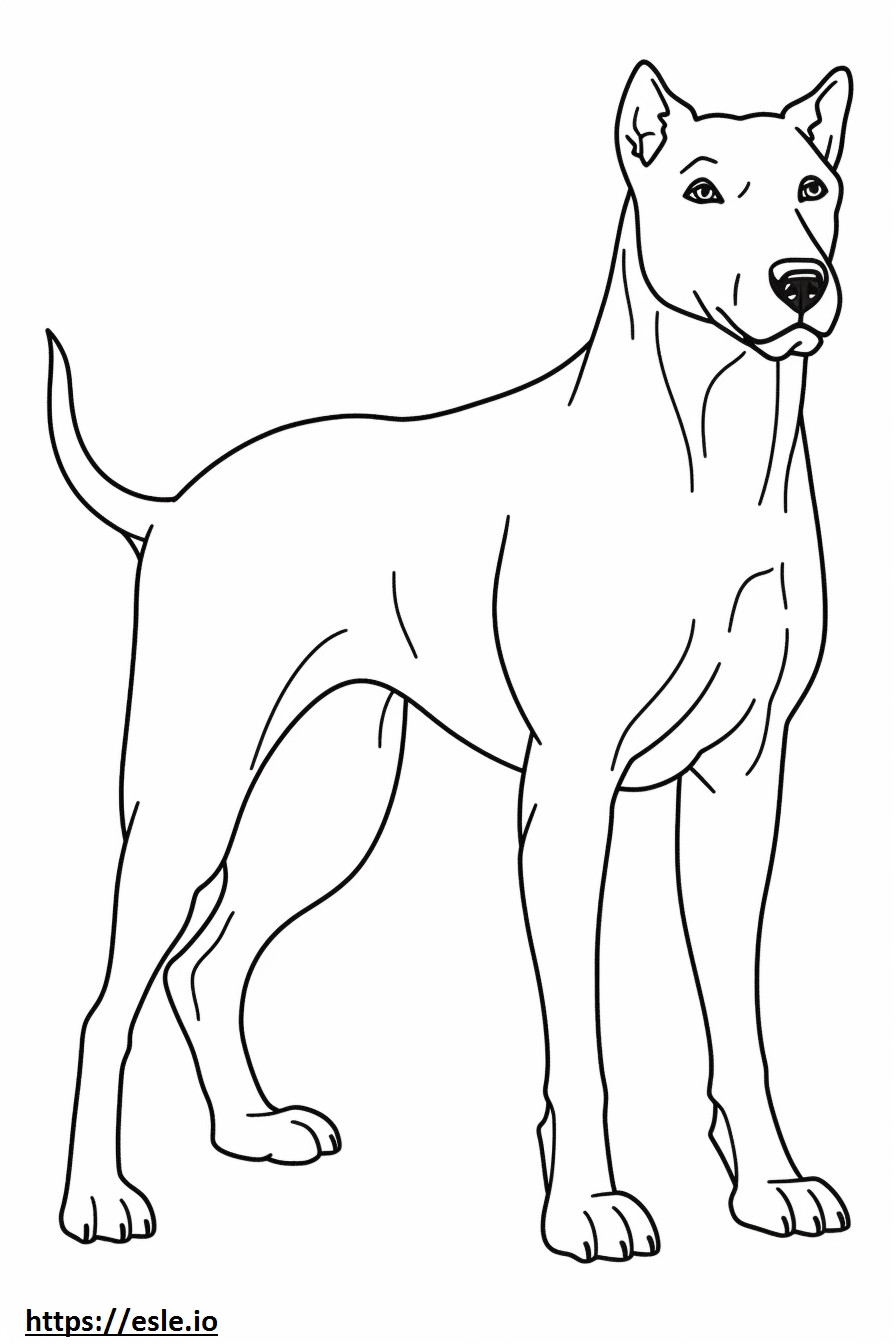 Kartun Boglen Terrier gambar mewarnai