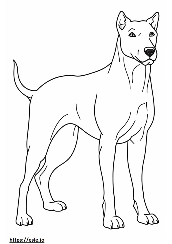 Boglen Terrier-Cartoon ausmalbild