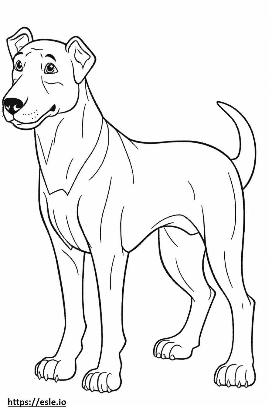 Boglen Terrier fofo para colorir