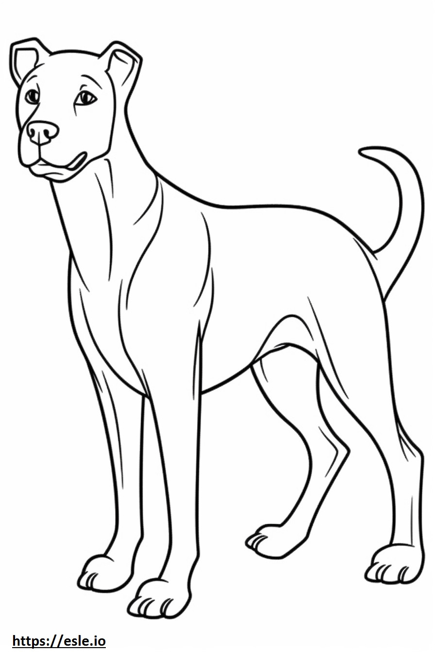 Boglen Terrier fofo para colorir