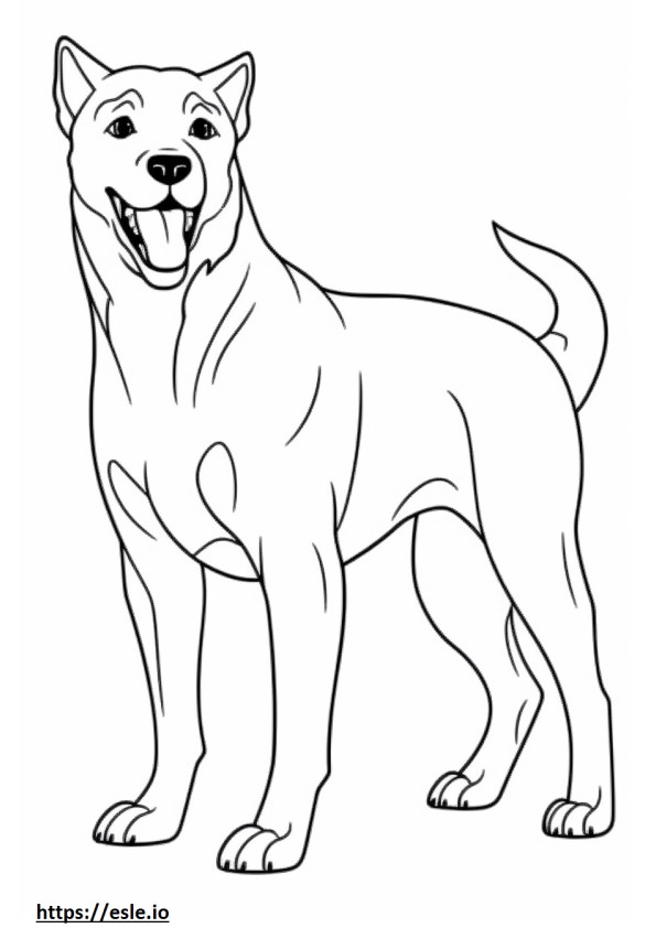 Boglen Terrier feliz para colorir
