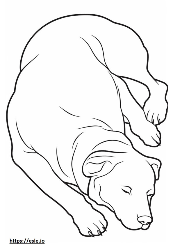 Boglen Terrier che dorme da colorare