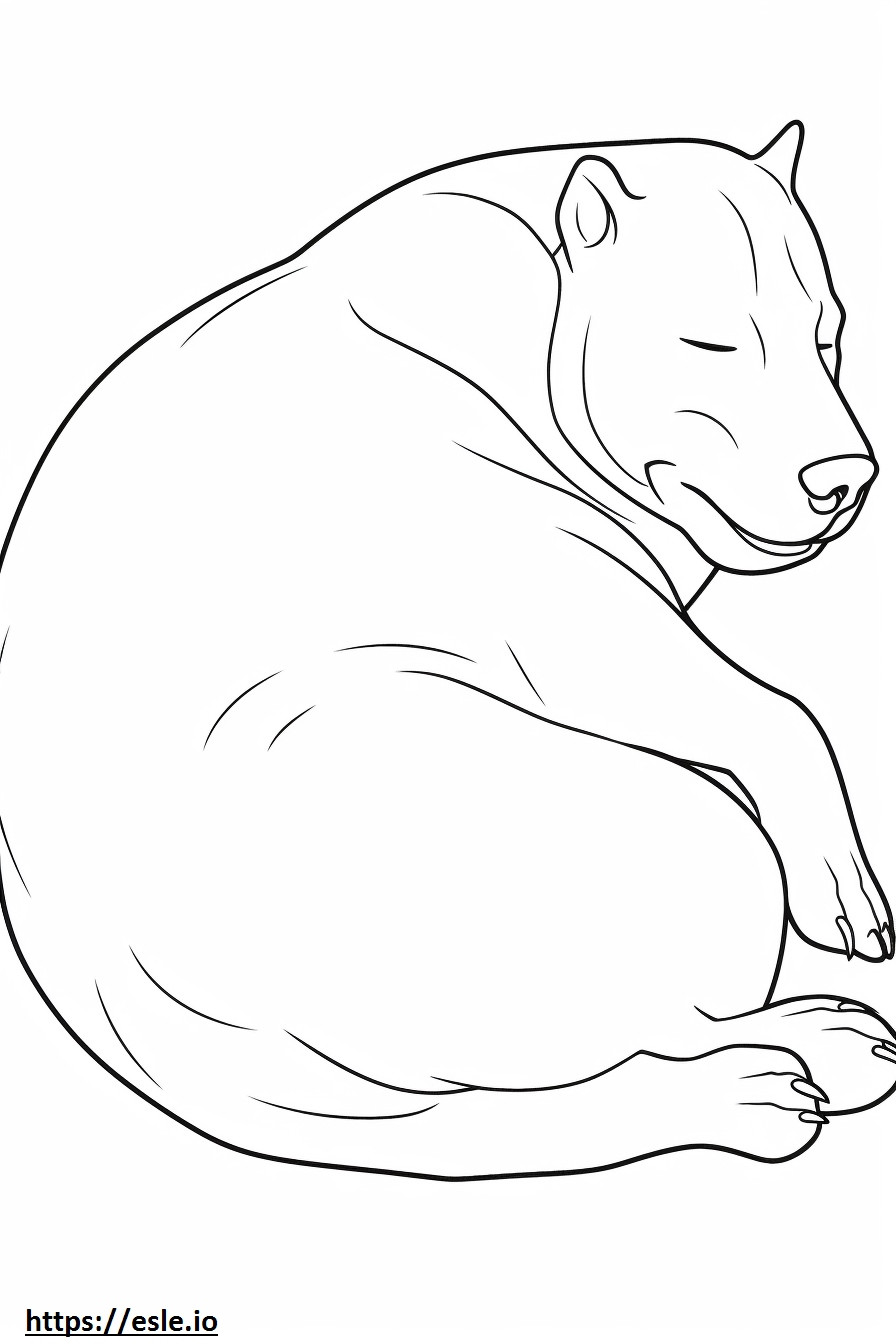 Boglen Terrier durmiendo para colorear e imprimir