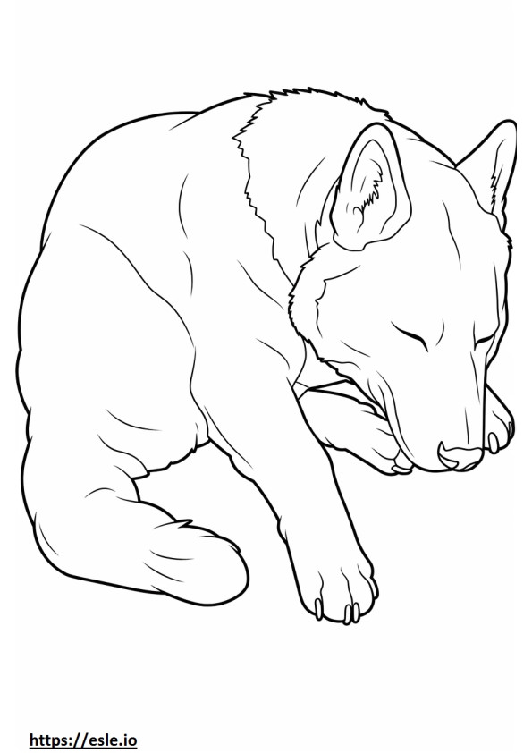 Boglen Terrier Tidur gambar mewarnai